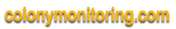 colonymonitoring.com